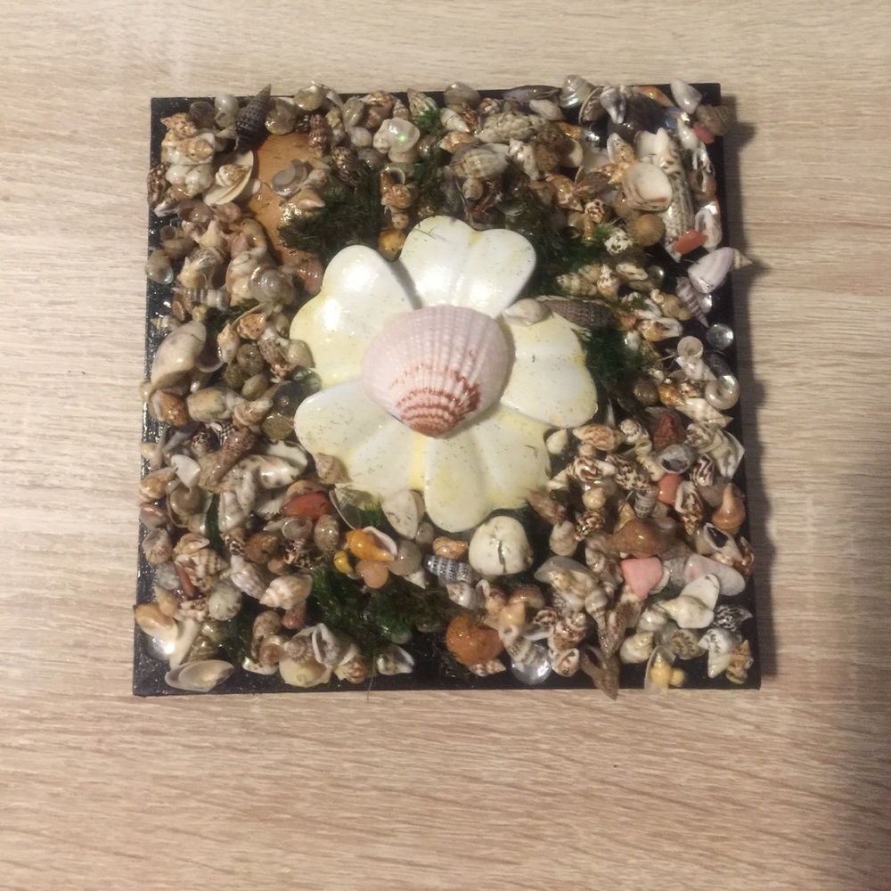 Seashells wall hanging decor